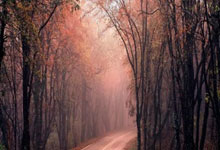 詹皇31+12+8湖人OT擒尼克斯8连胜 东契奇32+7+12.