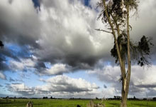 勒沃库森队长：输给德丙球队令人震惊，表现太糟糕&痛苦无法形容.