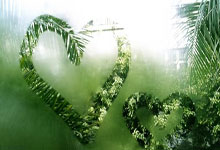 宝威体育：山东男篮豪取5连胜，高诗岩19+6带队逆转，剩余两场全胜可锁定前4.